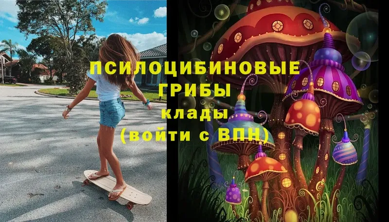 купить наркоту  Старый Крым  Галлюциногенные грибы Magic Shrooms 